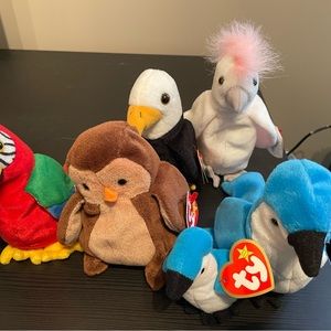 Ty Beanie Baby - Rare Bird Collection - All Beanie Baby have have Tag Errors